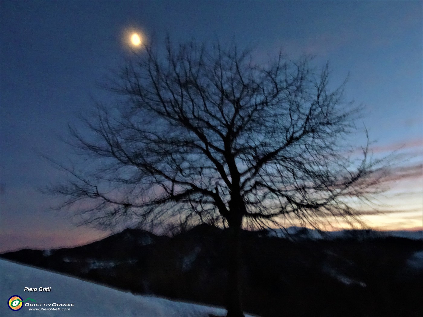 89 Ulitima foto...sfuocata con la luna in cielo.JPG